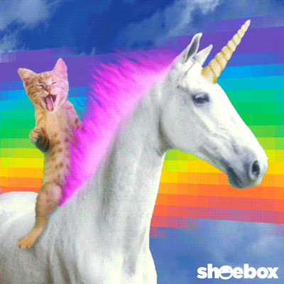 giphy (1).gif
