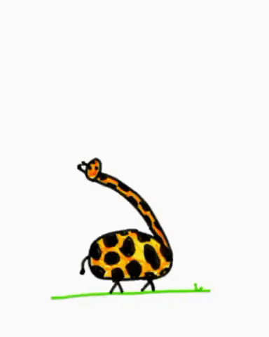 giphy (2).gif