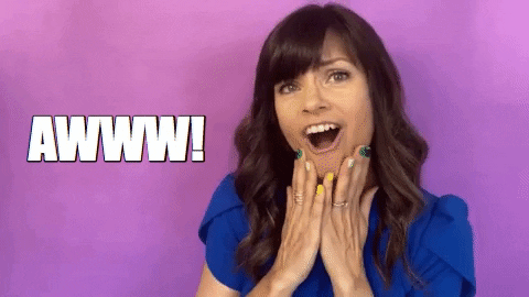 giphy (3).gif