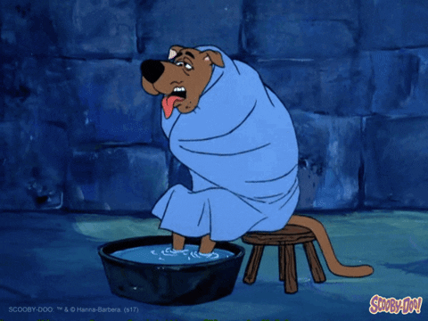 giphy (3).gif
