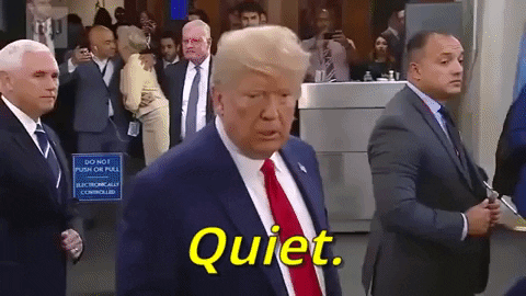 giphy (3).gif
