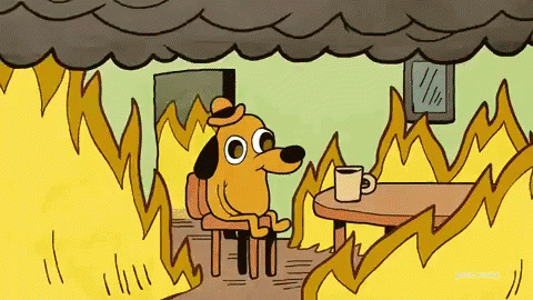 giphy (3).gif