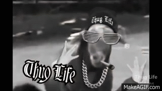 giphy (4).gif