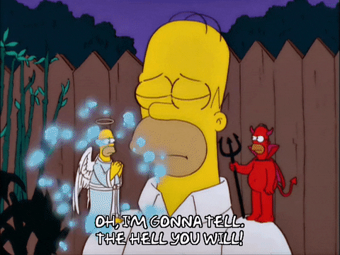 giphy (40).gif