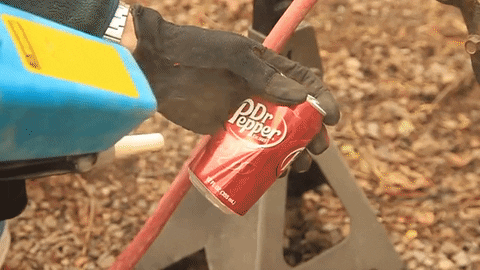 giphy-6 (6).gif