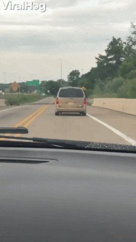 giphy-6.gif