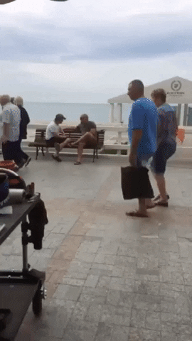 giphy (6).gif
