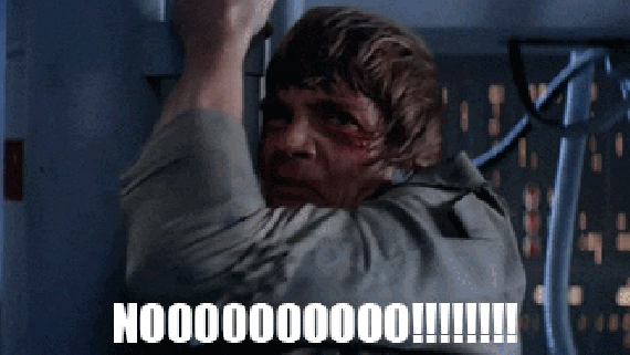 giphy (8).gif