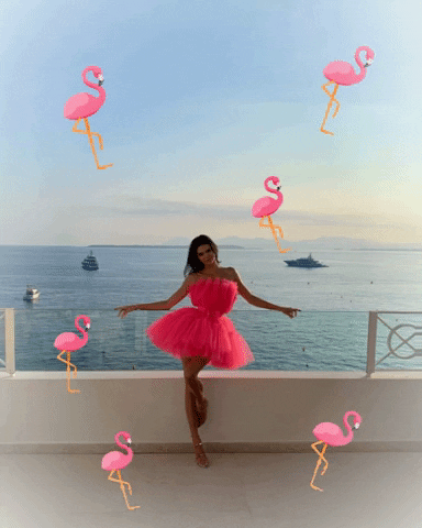 giphy.gif