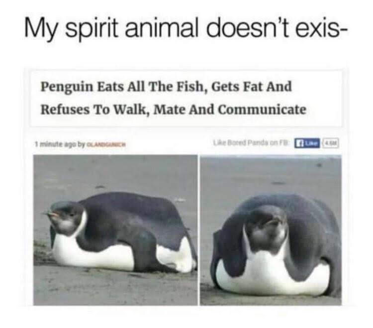 h1mb30m0xli21.jpg