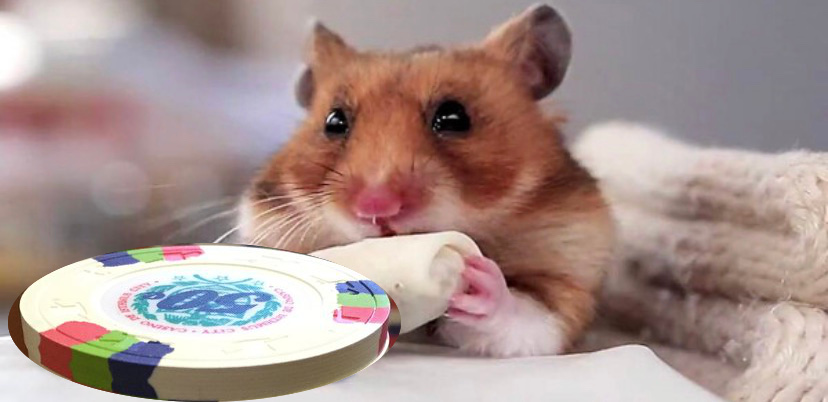 hamstercdi.jpeg