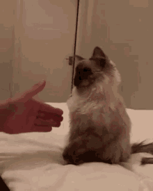 handshake-fist-bump.gif