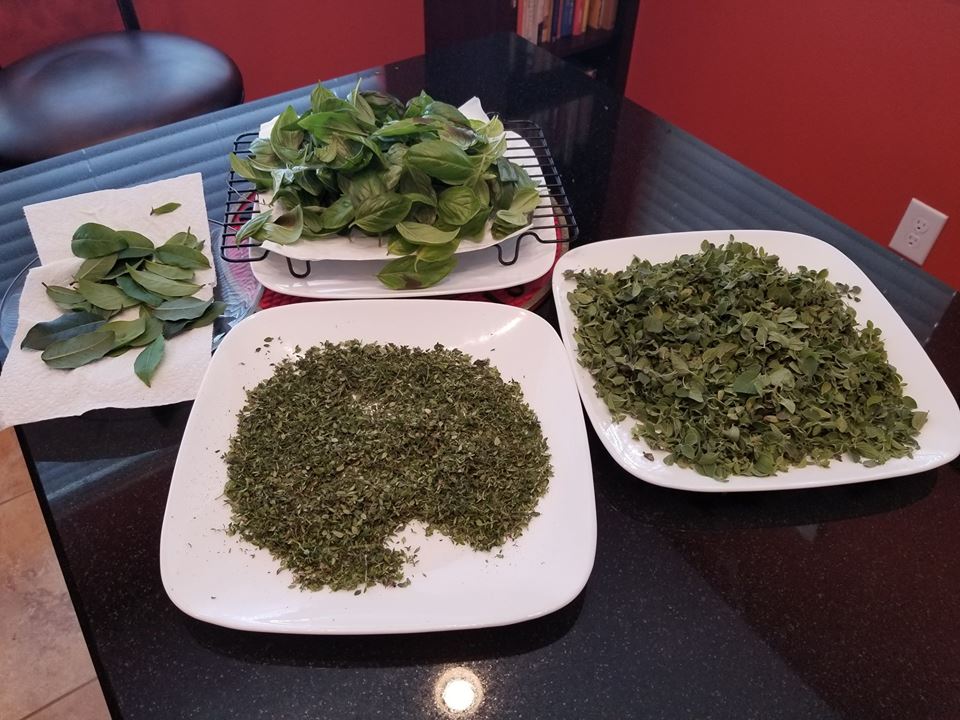 Herbs20180819.jpg
