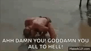 heston.gif