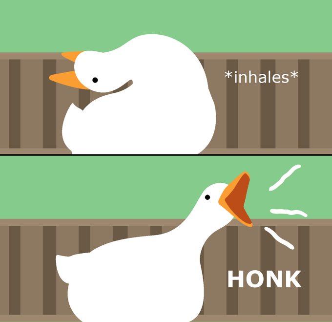 hnk.png