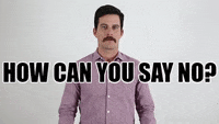 how can you say no.gif