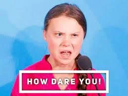 HowDareYou.webp