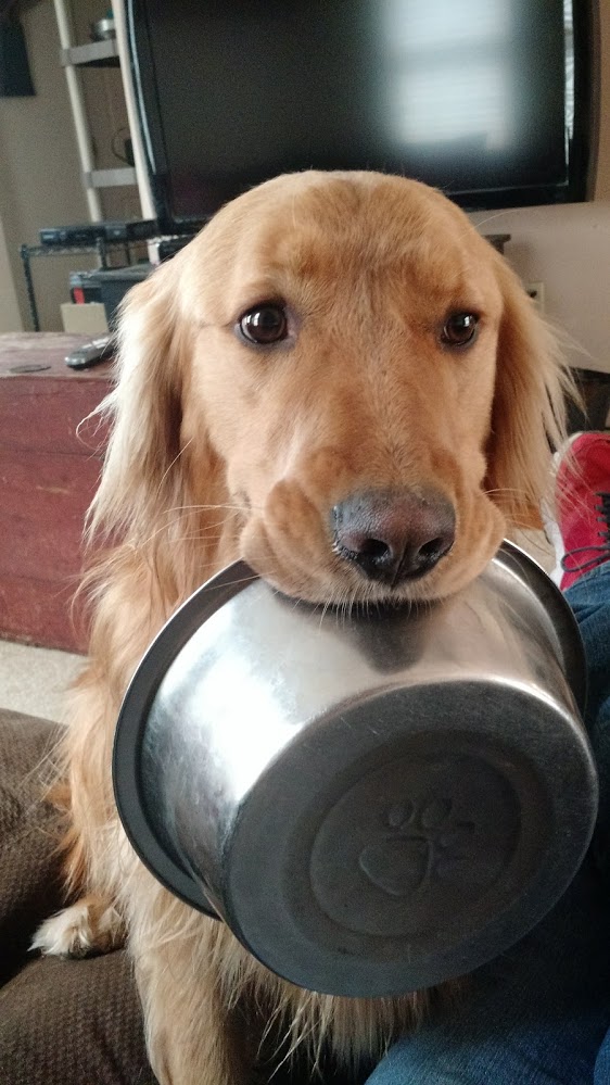 hungry.jpg