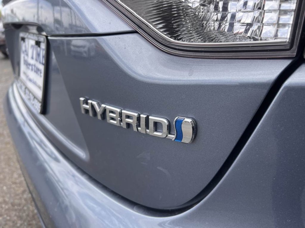 hybrid.jpg