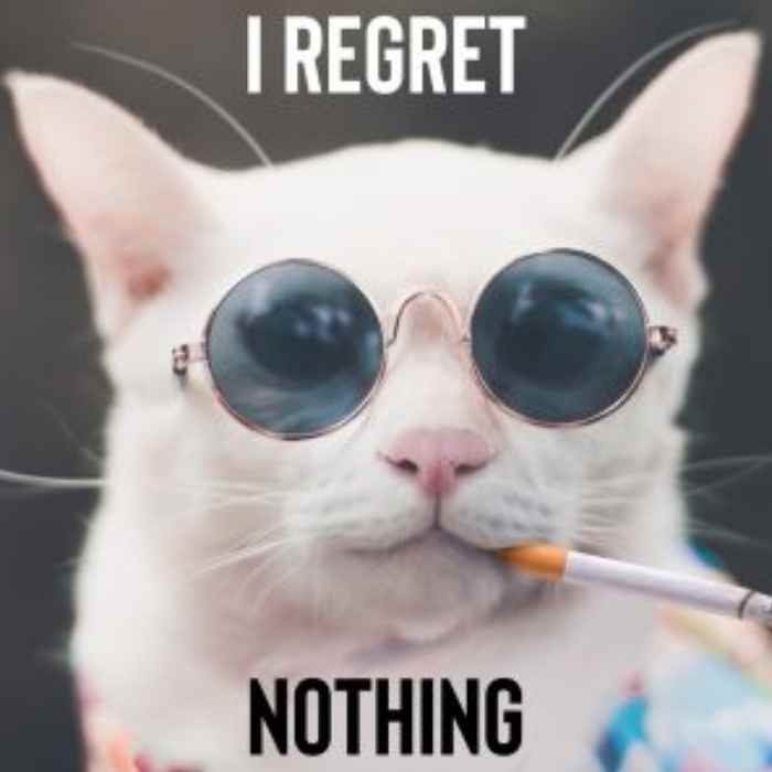 i-regret-nothing-cat-meme.jpg