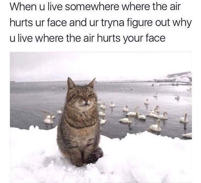 ibe6dhr9zyc21.jpg