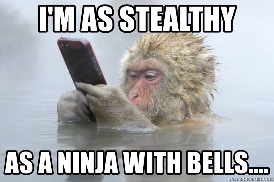 im-as-stealthy-as-a-ninja-with-bells.jpg