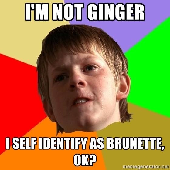 im-not-ginger-i-self-identify-as-brunette-ok.jpg