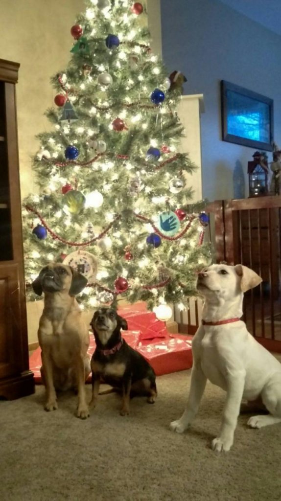 IMAG0137_1.jpg