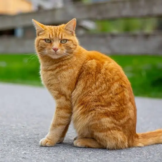 Don't mess with me!