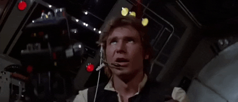 IMG_0113.gif