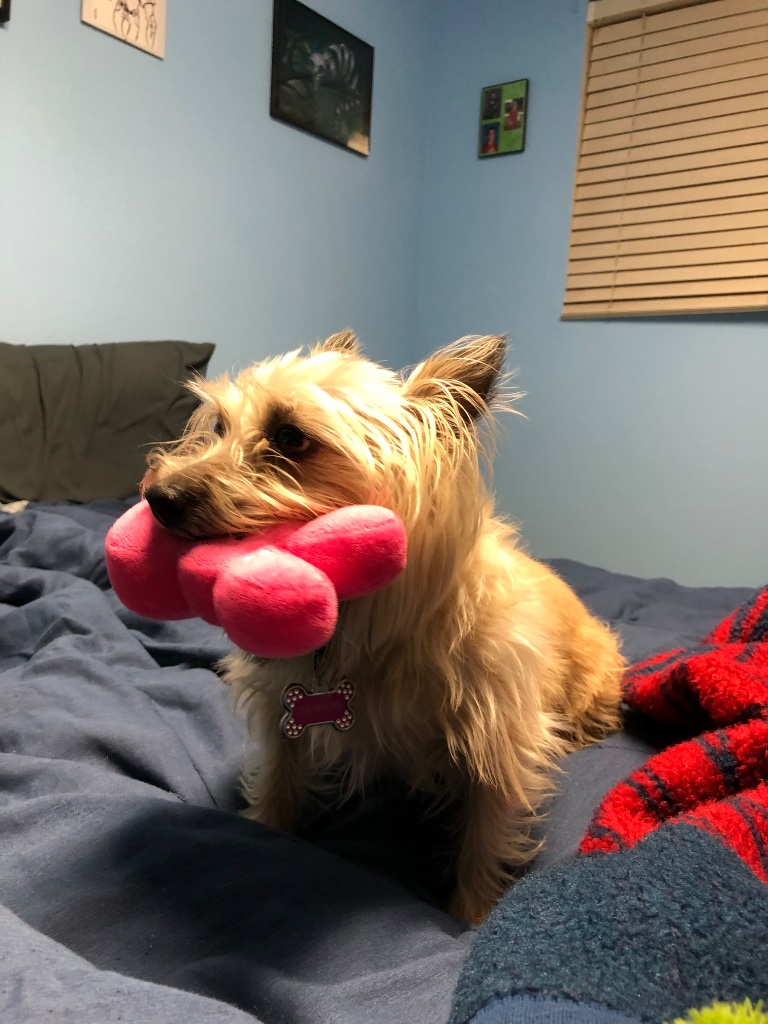 IMG_0190.jpeg