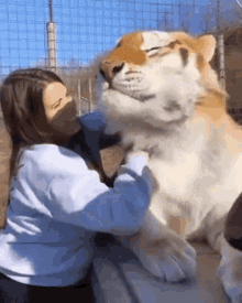 IMG_0673.gif