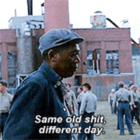 IMG_1503.gif