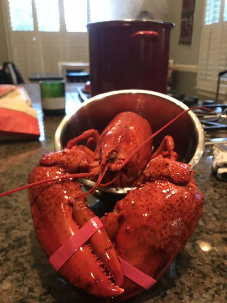 IMG_1594.jpeg