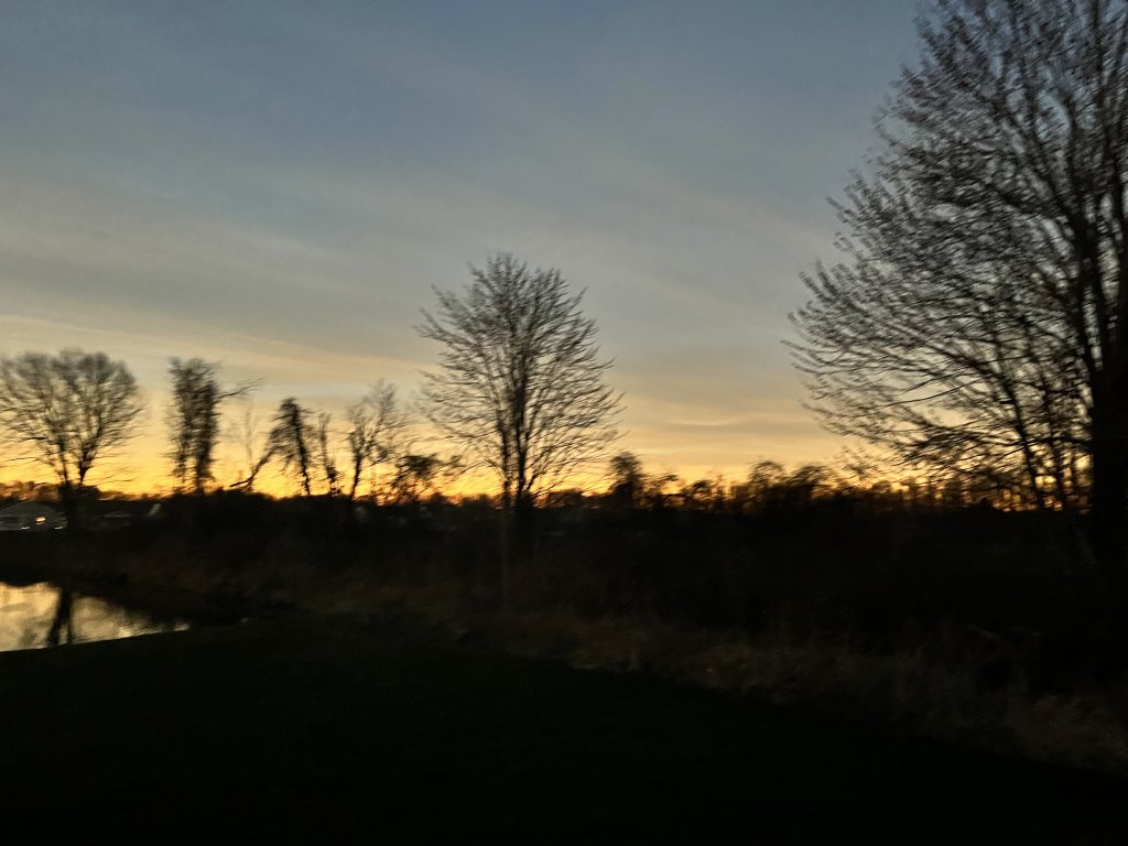 IMG_1700.jpeg