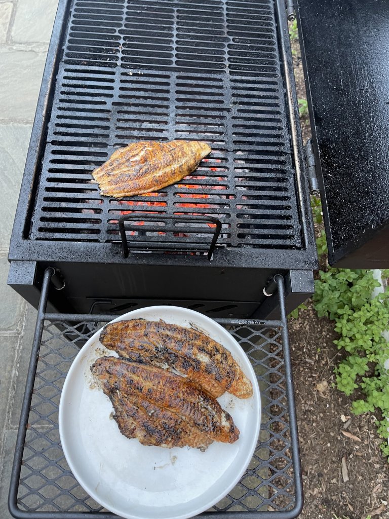 IMG_1857.jpeg