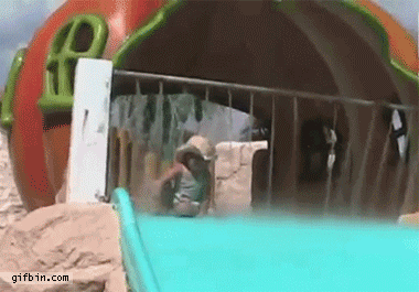 IMG_1859.gif