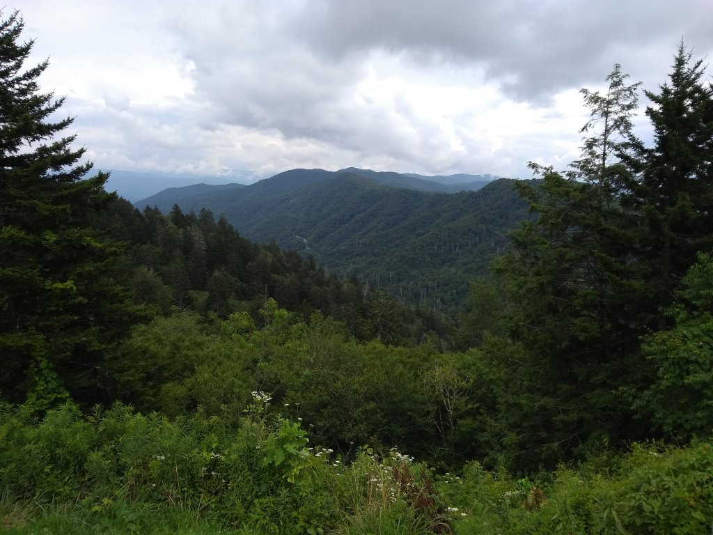 IMG_20180724_152645042.jpg