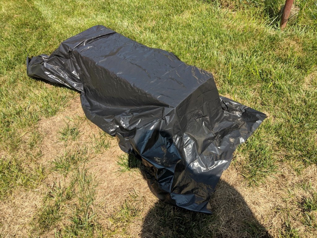 IMG_20180810_110743.jpg