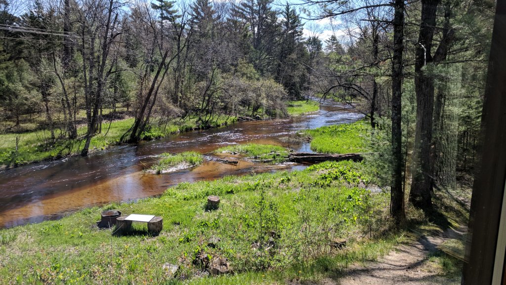 IMG_20190513_111615.jpg
