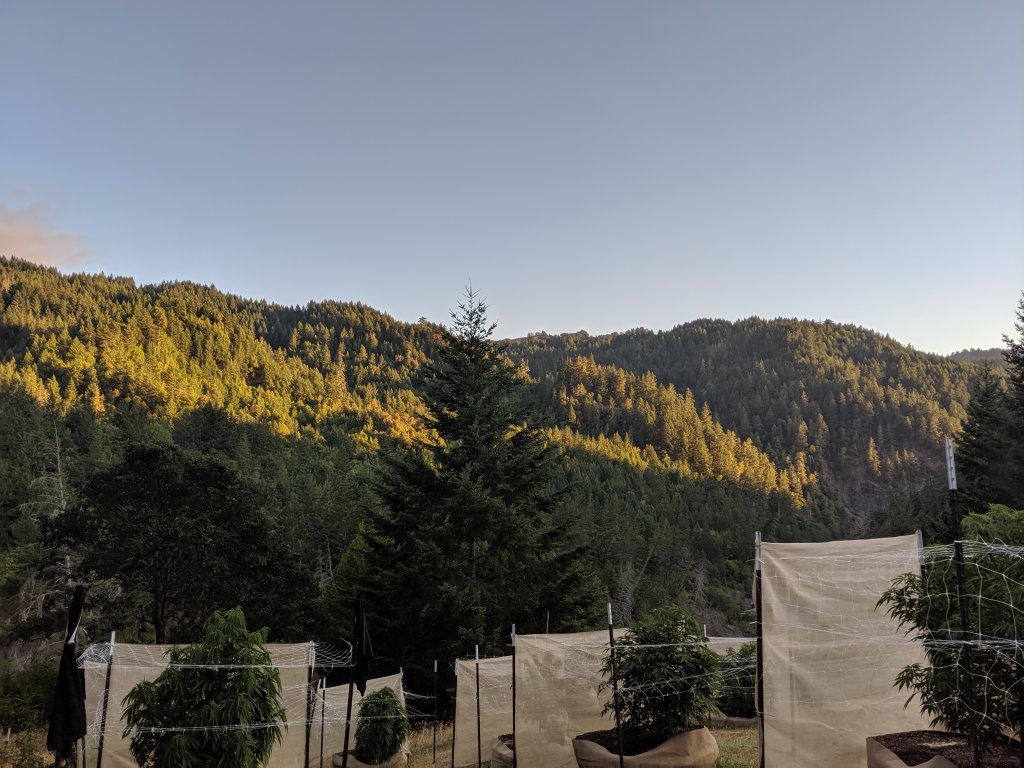 IMG_20190717_201051.jpg
