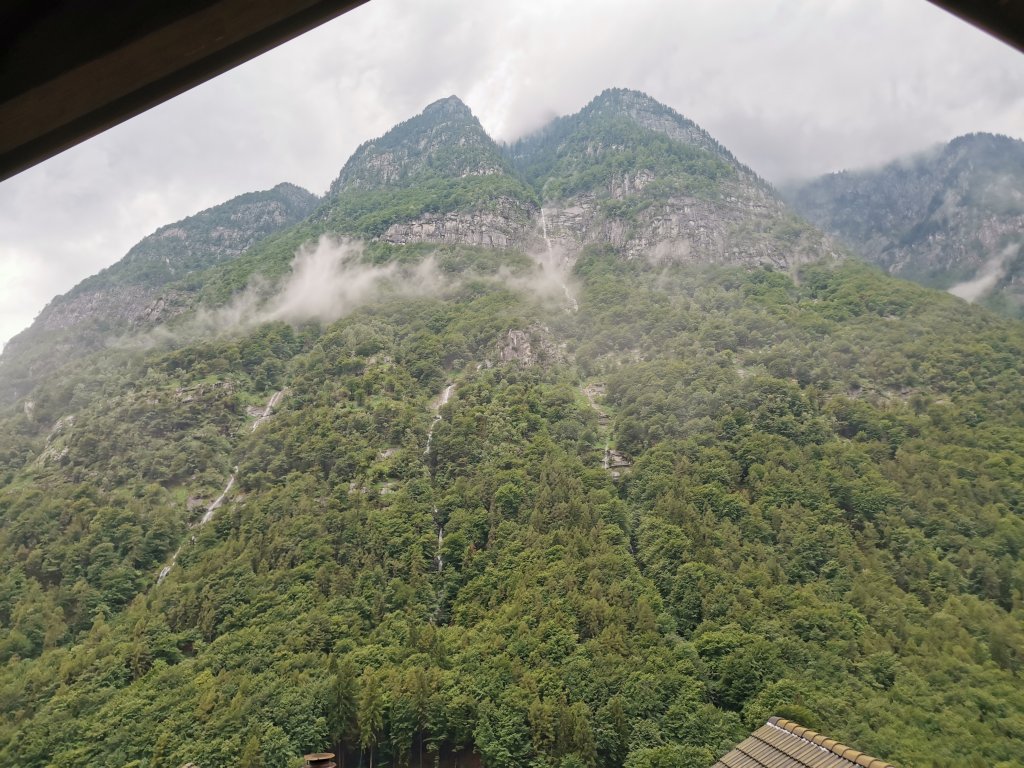 IMG_20210713_104443.jpg
