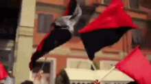 IMG_20231220_120107.gif