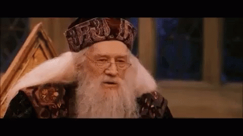 IMG_2121.gif