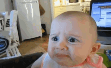 IMG_2307.gif