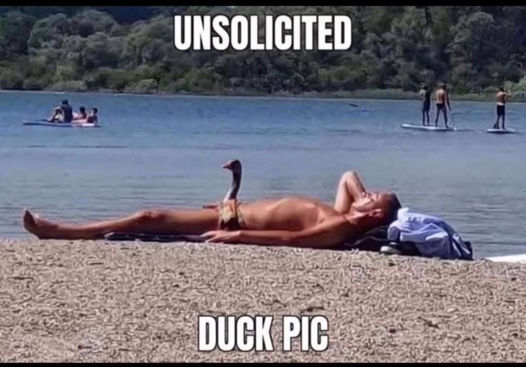 IMG_2708.jpeg