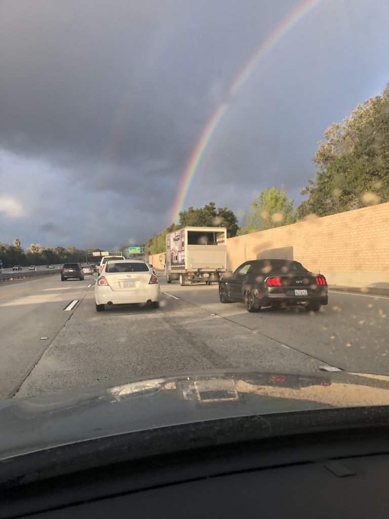 IMG_2847.jpeg