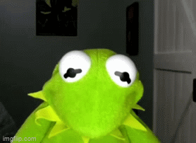 IMG_2864.gif