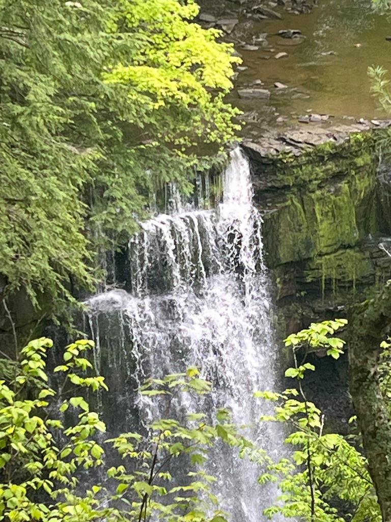 IMG_2947.jpeg