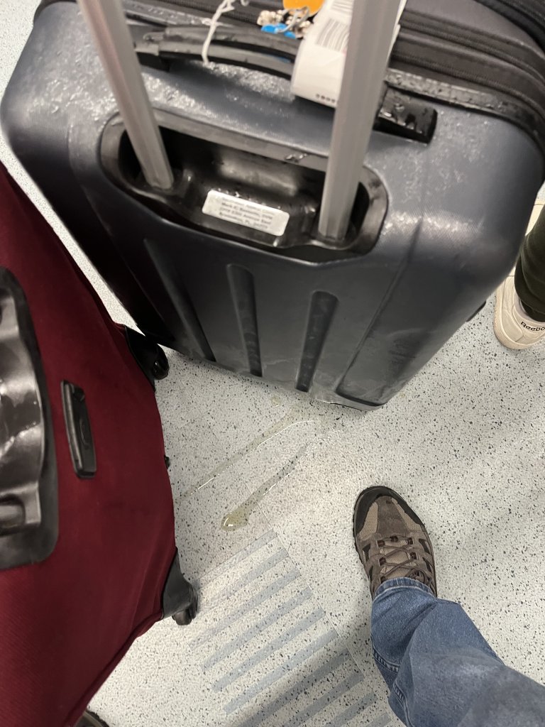 IMG_3040.jpeg